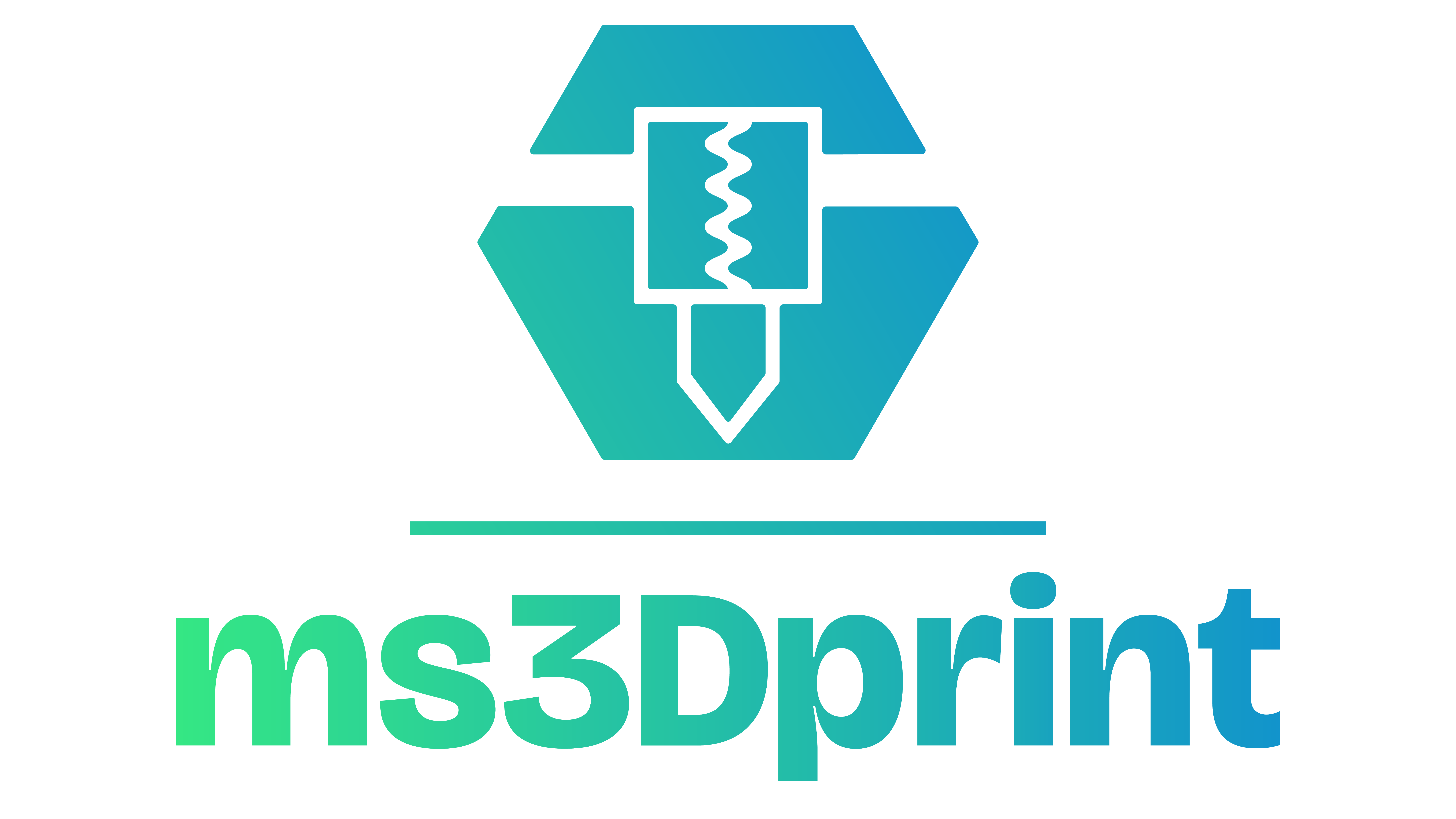 MS3DPRINT